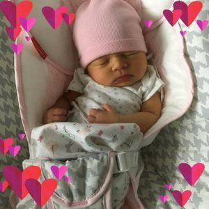 Meet your Posher, Alice